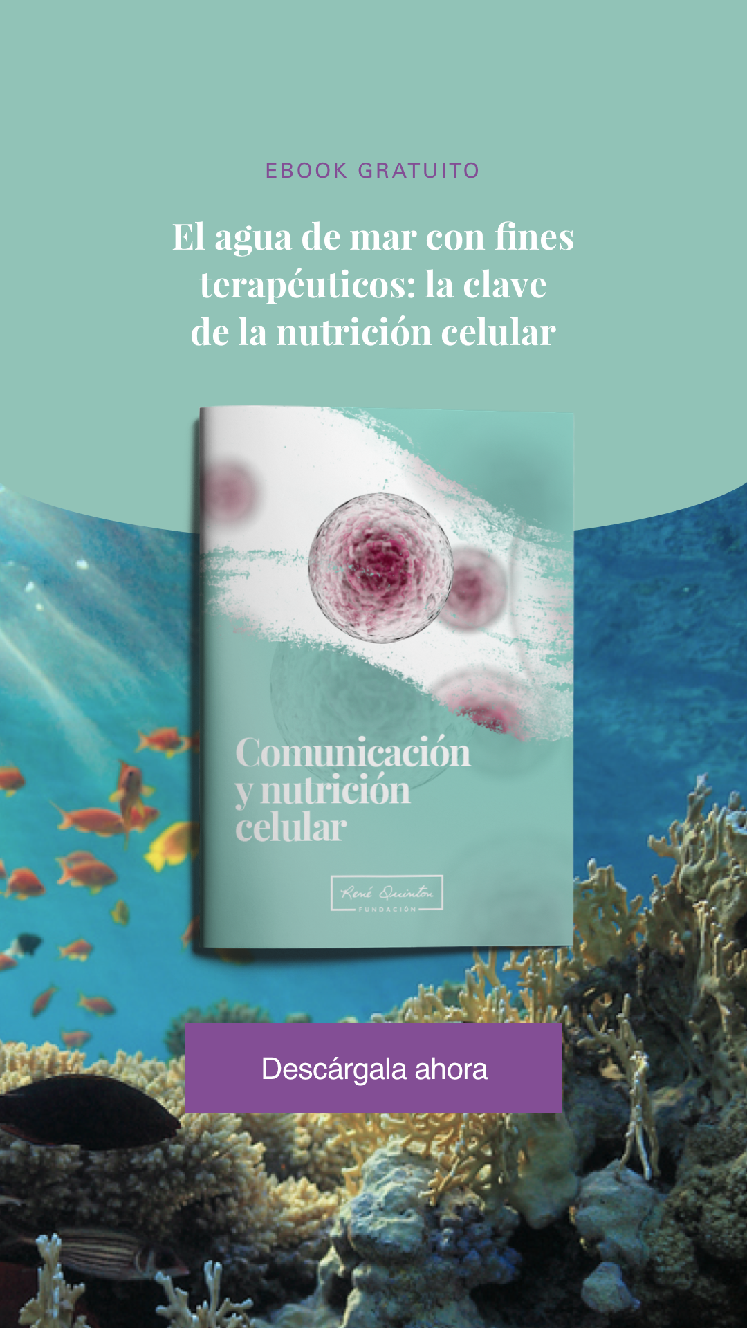Fundación René Quinton Facebook ad from Aug 27, 2025