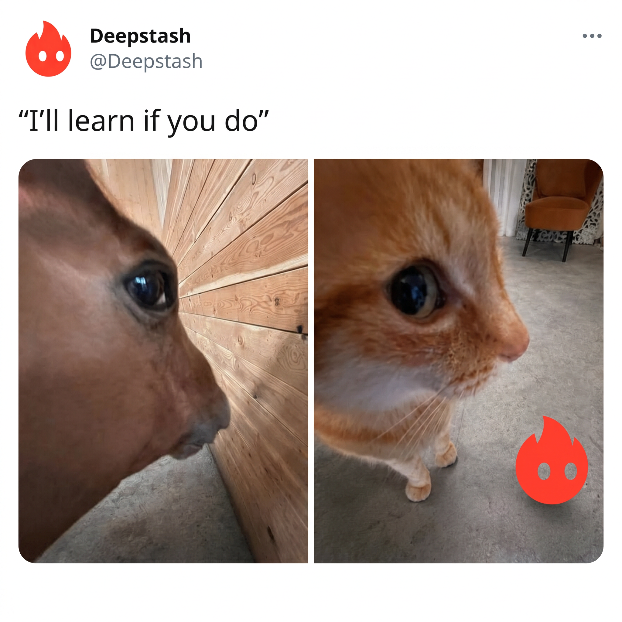 Deepstash Facebook ad