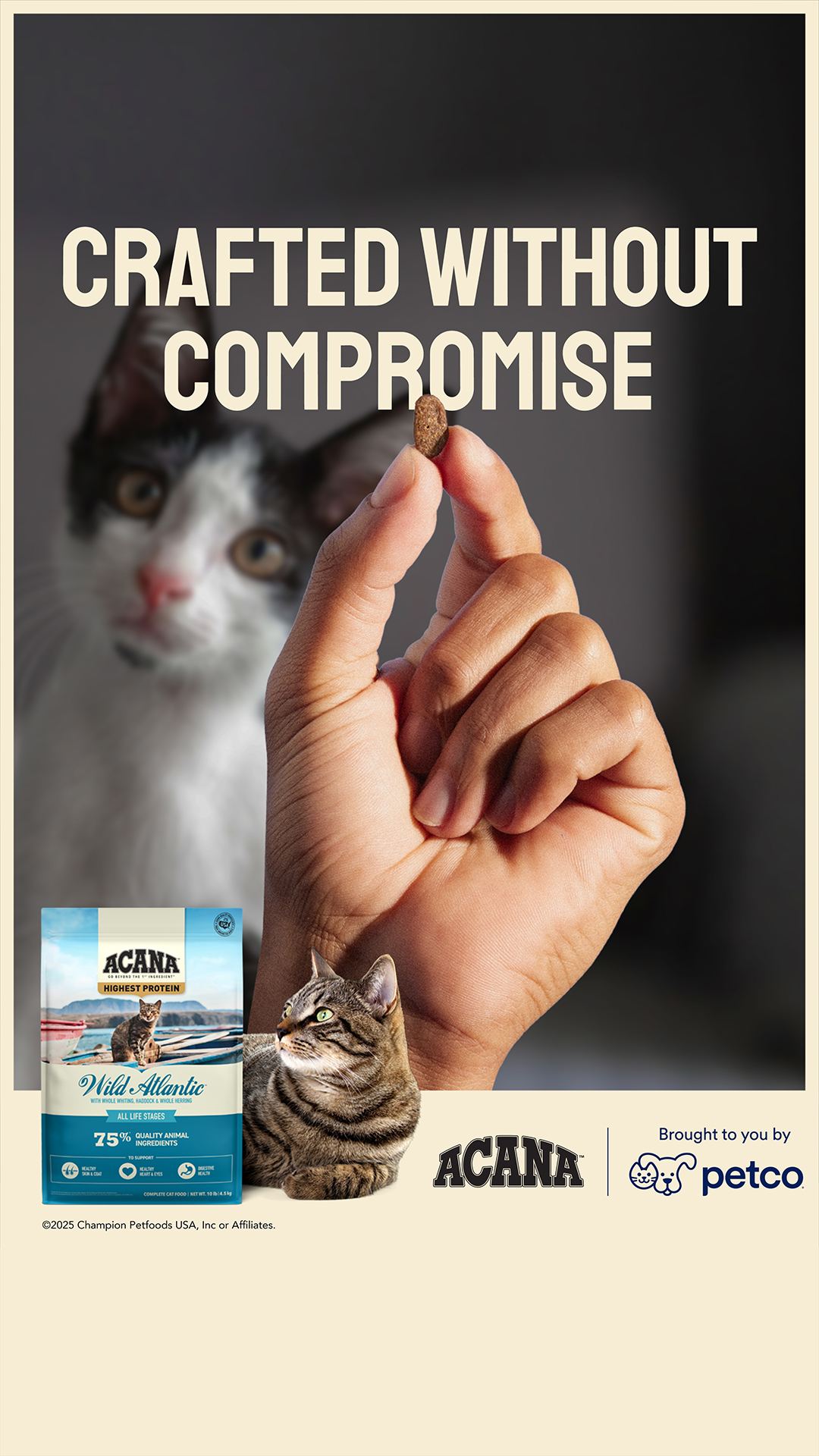 Petco Facebook ad