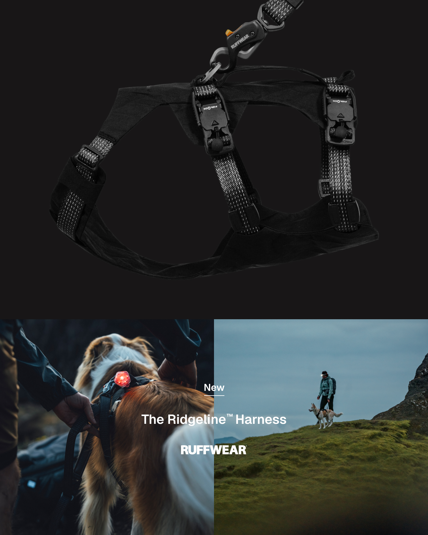 Ruffwear Facebook ad