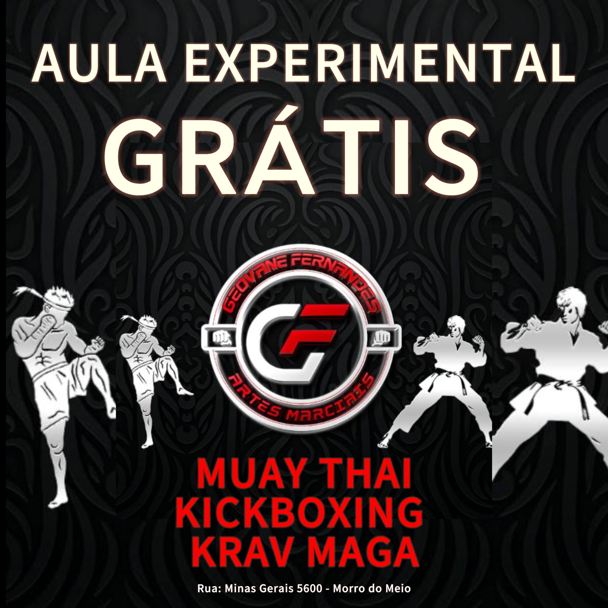 GF artes marciais Facebook ad from Aug 13, 2025