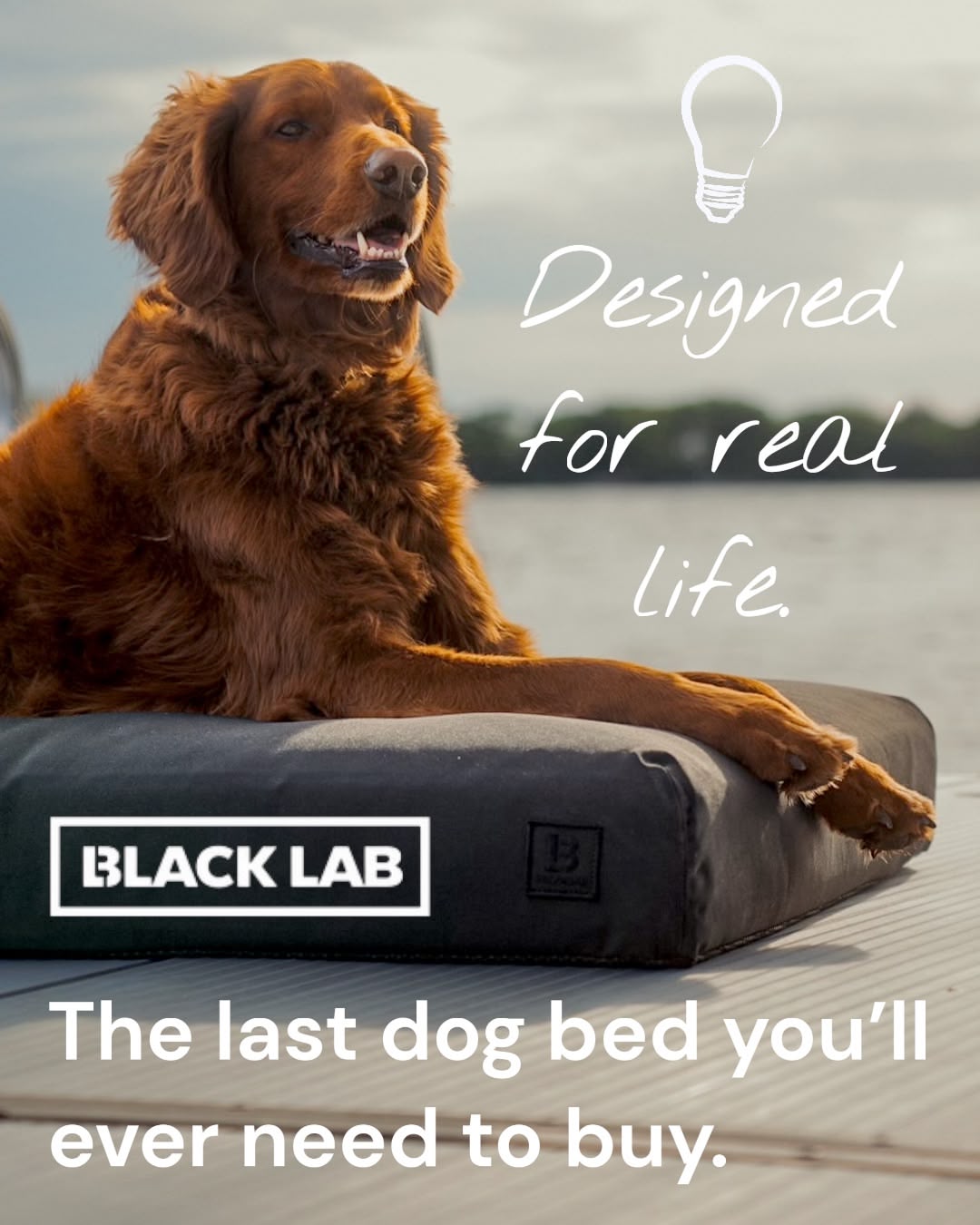 Black Lab Brands Facebook ad