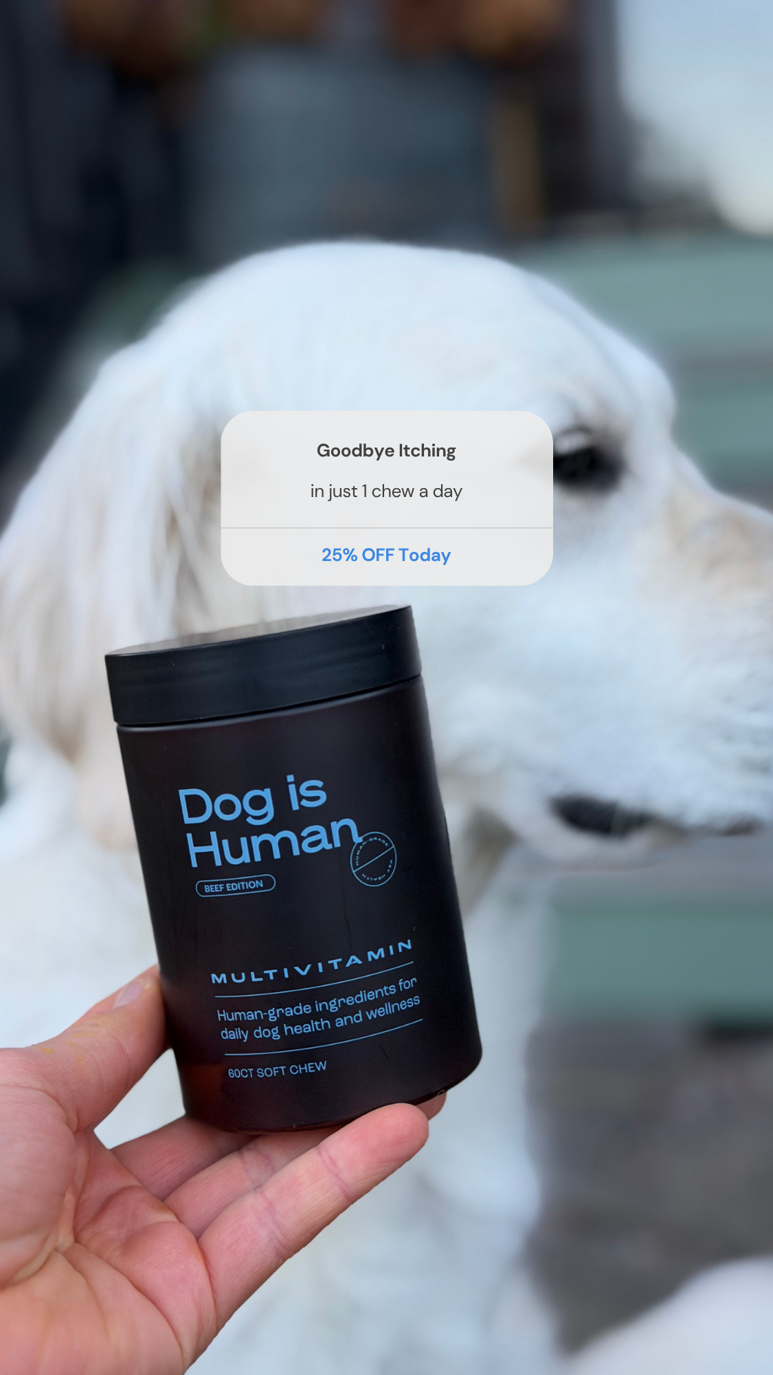 Dog is Human Facebook ad