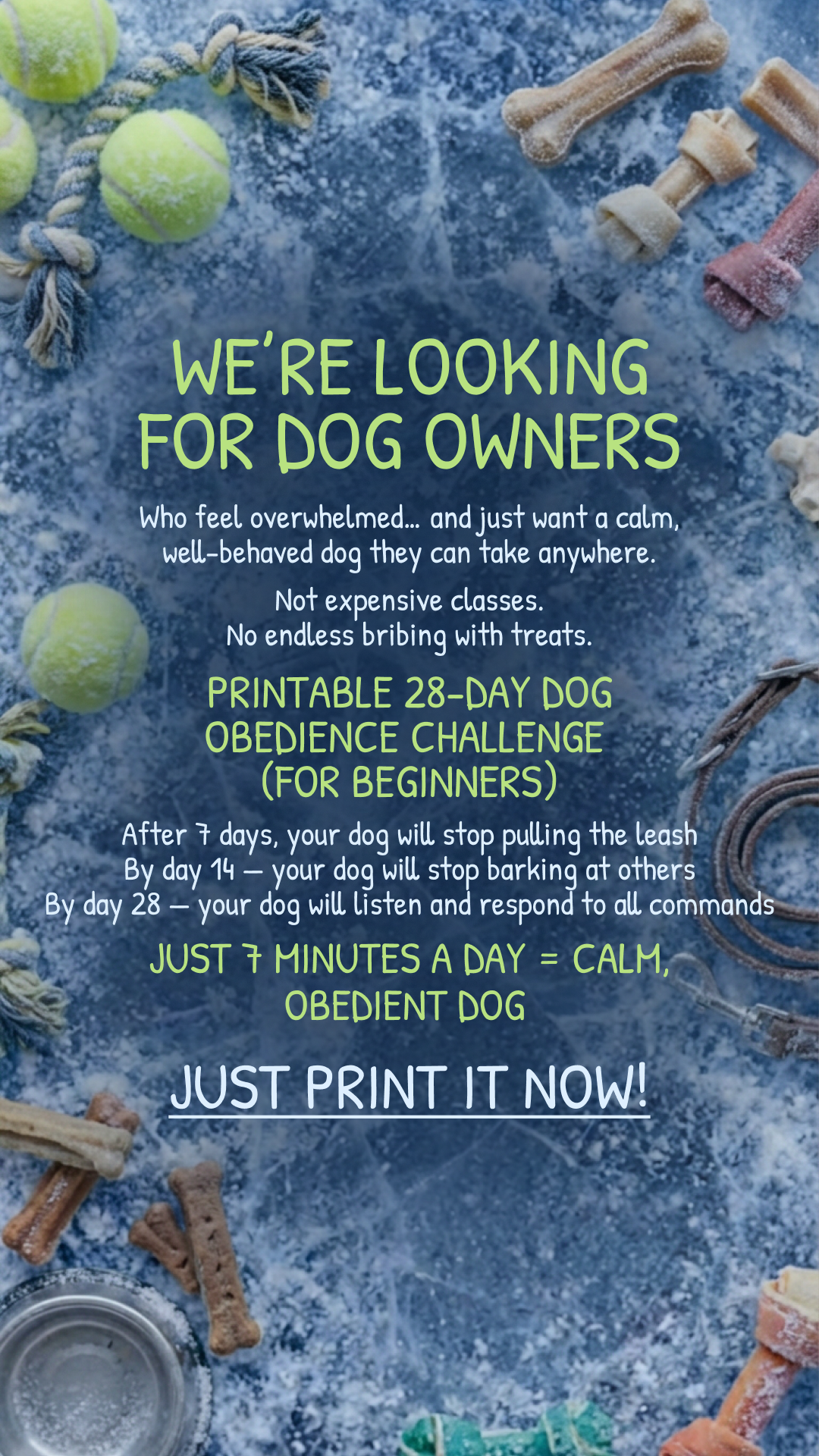 28 Day Dog Obedience Challenge Facebook ad