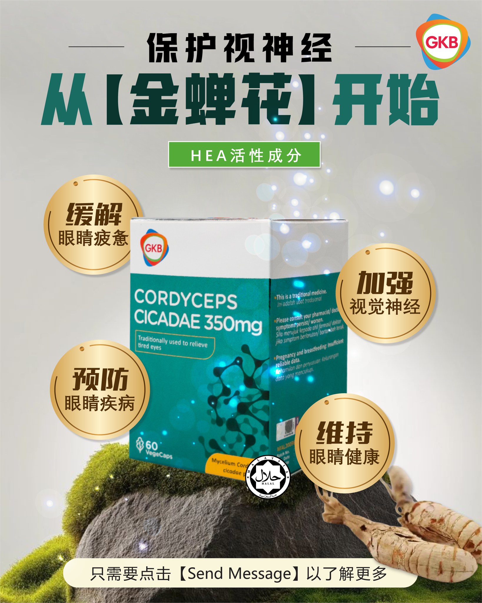 GKB Cordyceps Cicadae 金蝉花 【护眼】- MY Facebook ad: 金蝉花是眼睛的保护伞