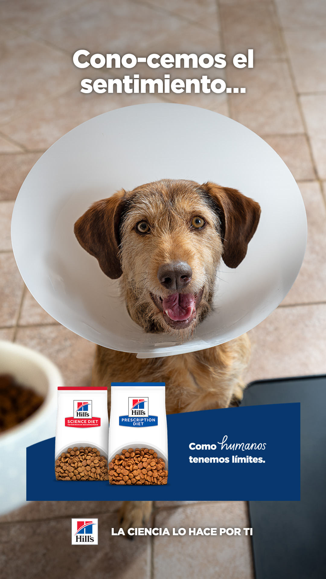 Hill's Pet Colombia Facebook ad