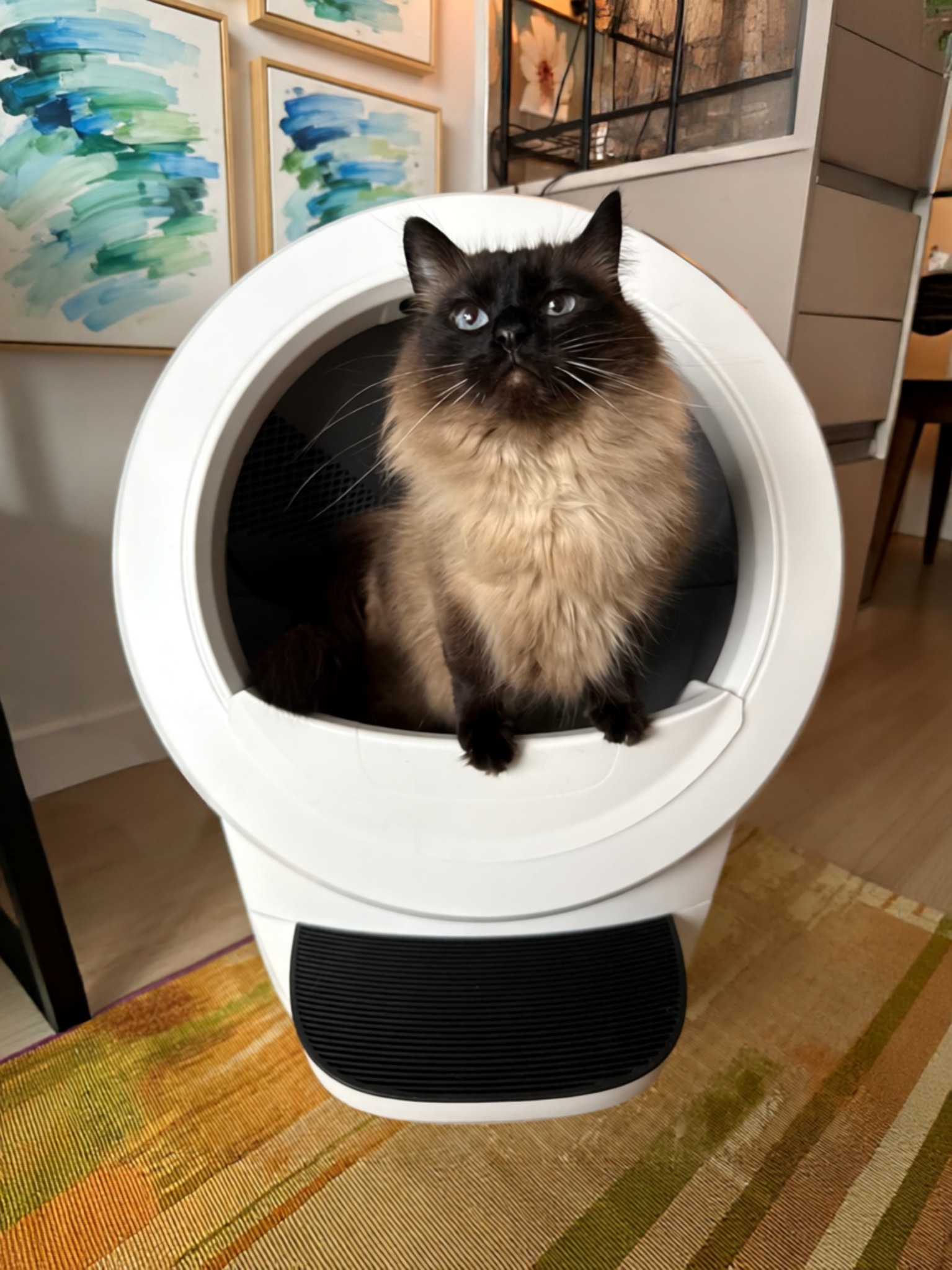 Litter-Robot by Whisker Facebook ad