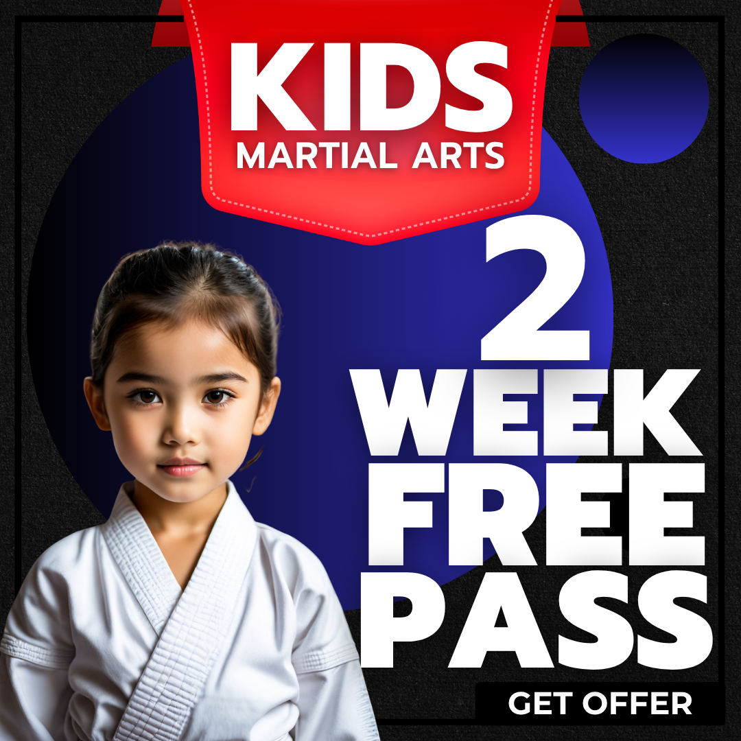 Blazier Martial Arts Facebook ad: 2 Weeks of Free Martial Arts Classes!