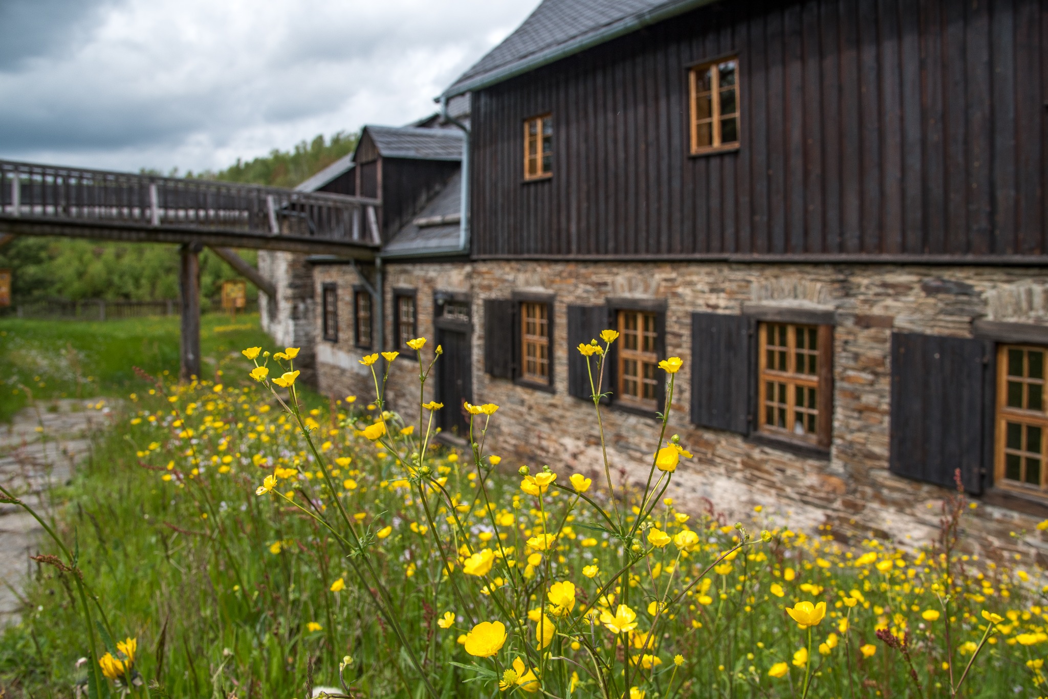 Erlebnisheimat Erzgebirge Facebook ad: Gemeinsam für Frieden und Verständigung
