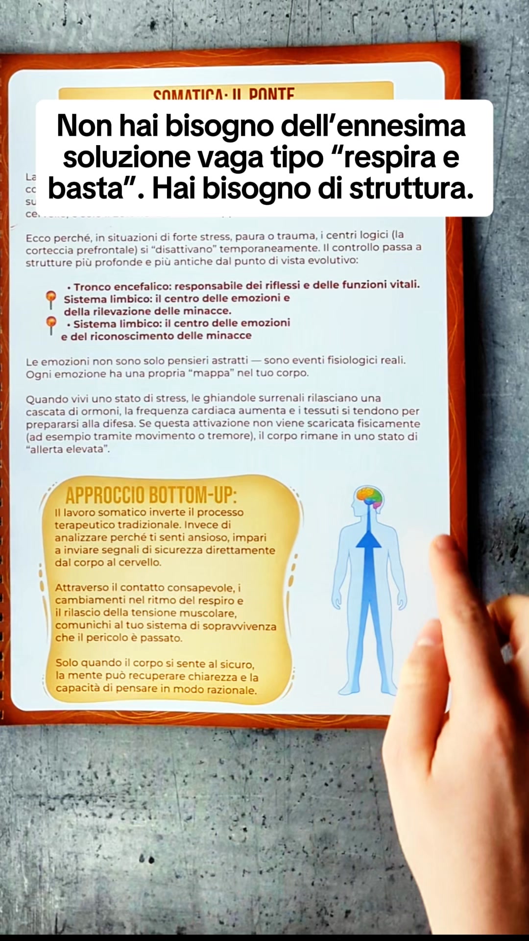 Harmonis. Facebook ad: Workbook di Terapia Somatica