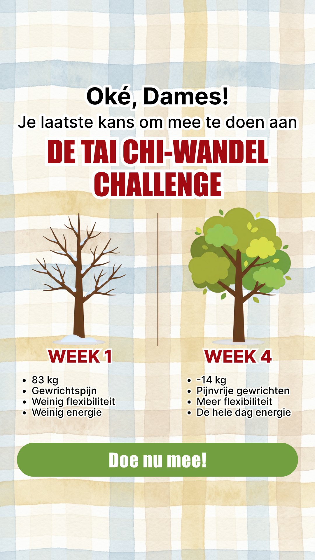 Мy 28 Day Challenge Facebook ad