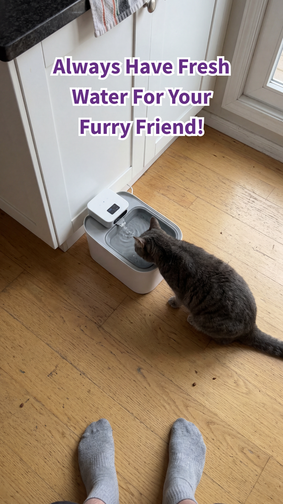 Alder and Jade Facebook ad: Always Have Fresh Water For Your Furry Friend!
