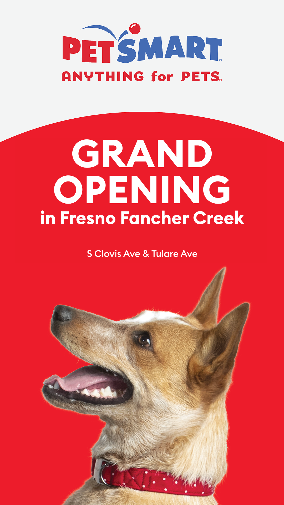 PetSmart Facebook ad