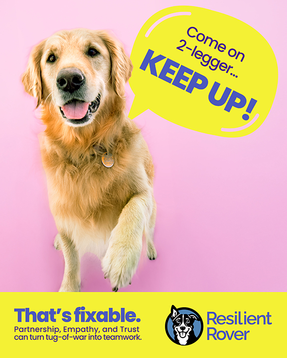 resilient_rover Facebook ad: At @resilient_rover, we take a different approach to…