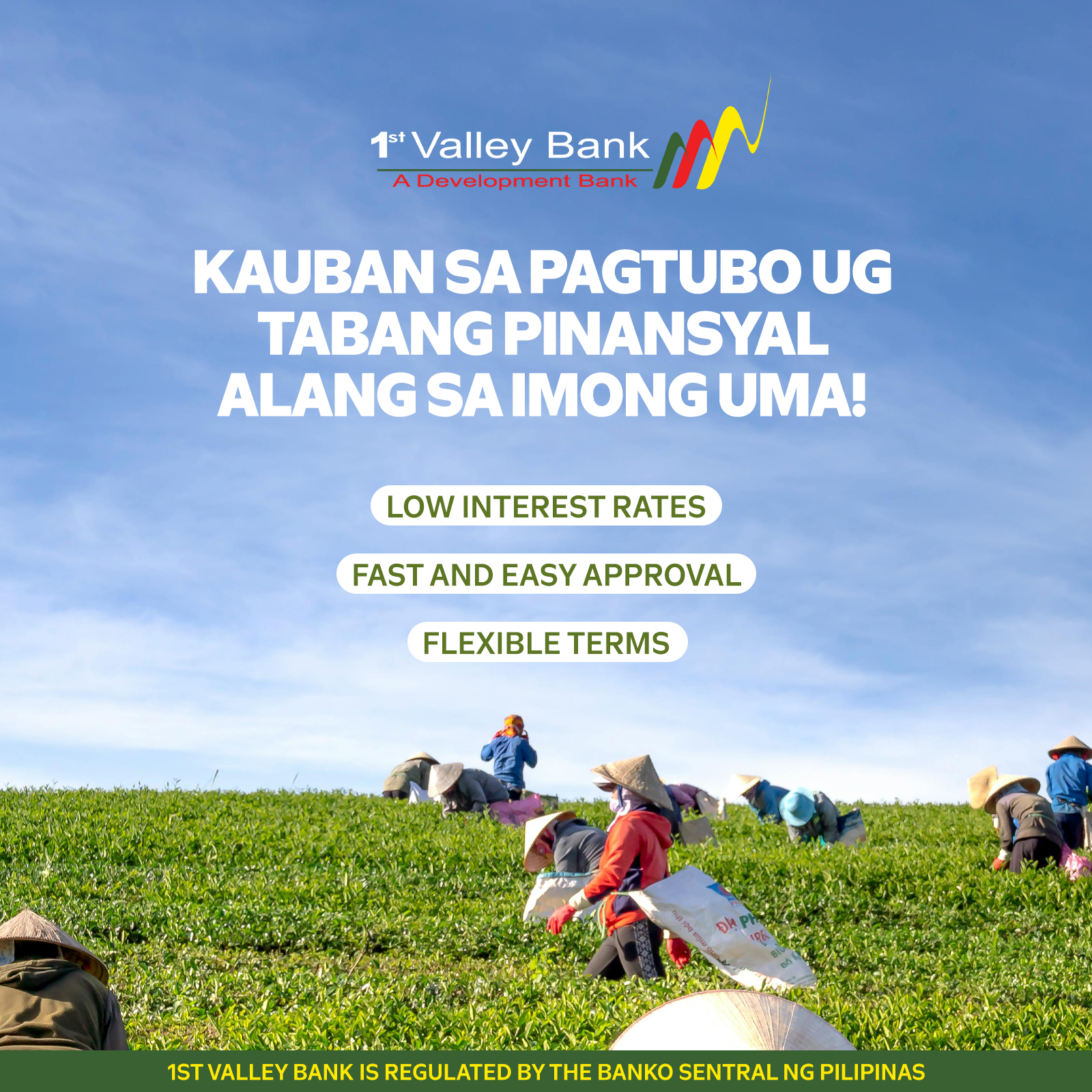 1st Valley Bank, Inc. Facebook ad