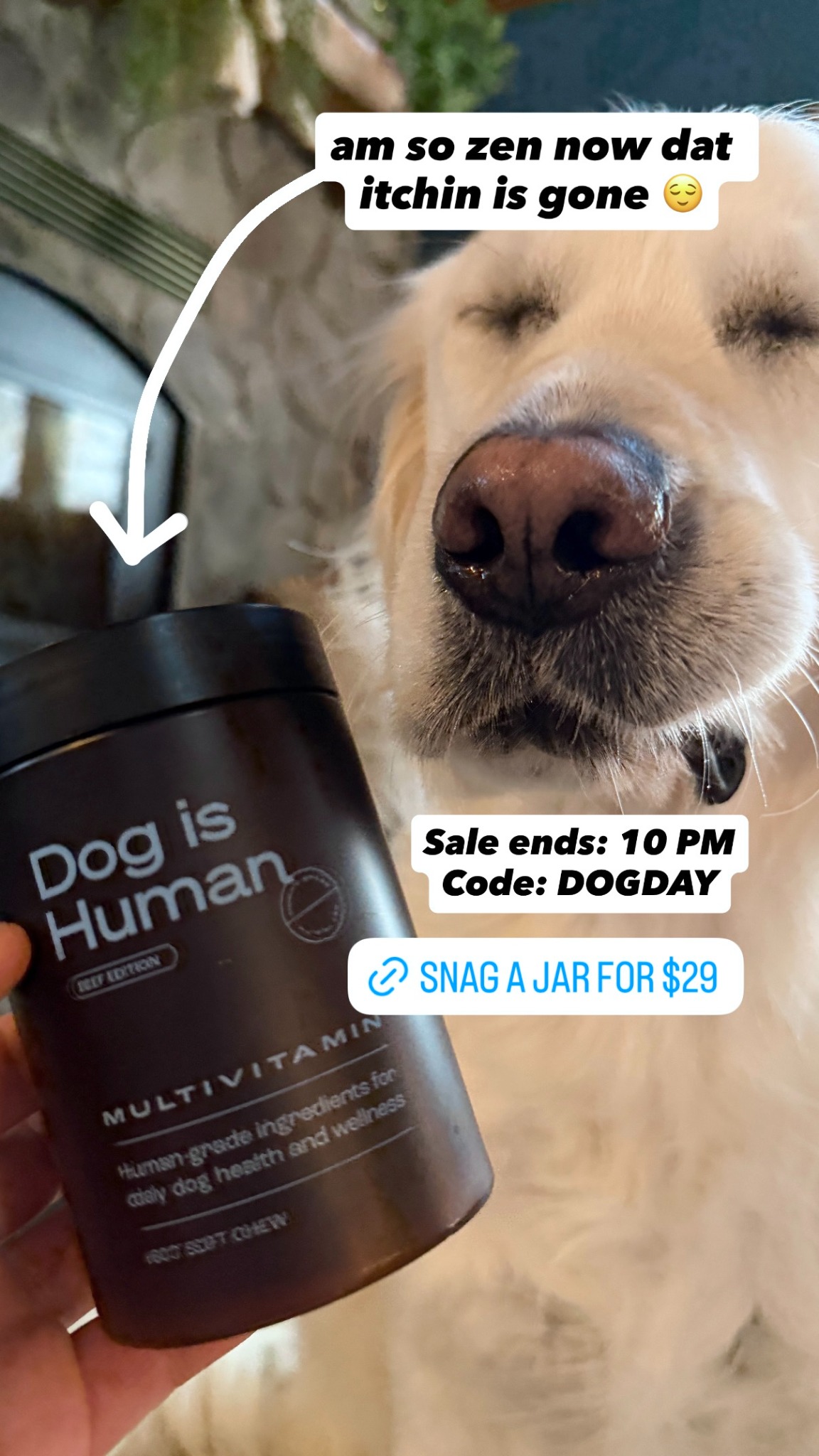Dog is Human Facebook ad
