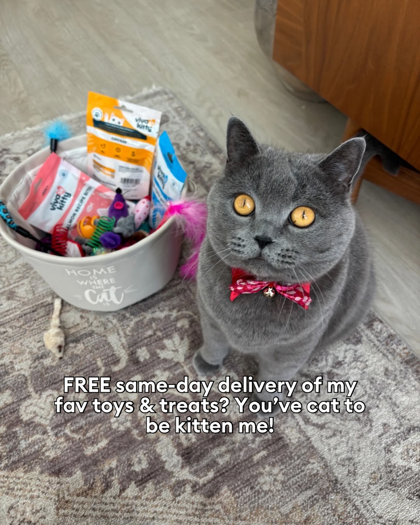 PetSmart Facebook ad