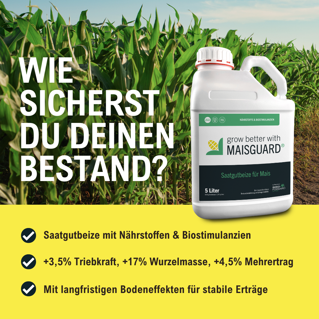 SEEDFORWARD Facebook ad