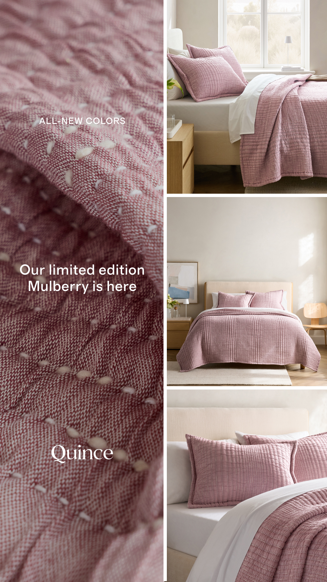Quince Facebook ad