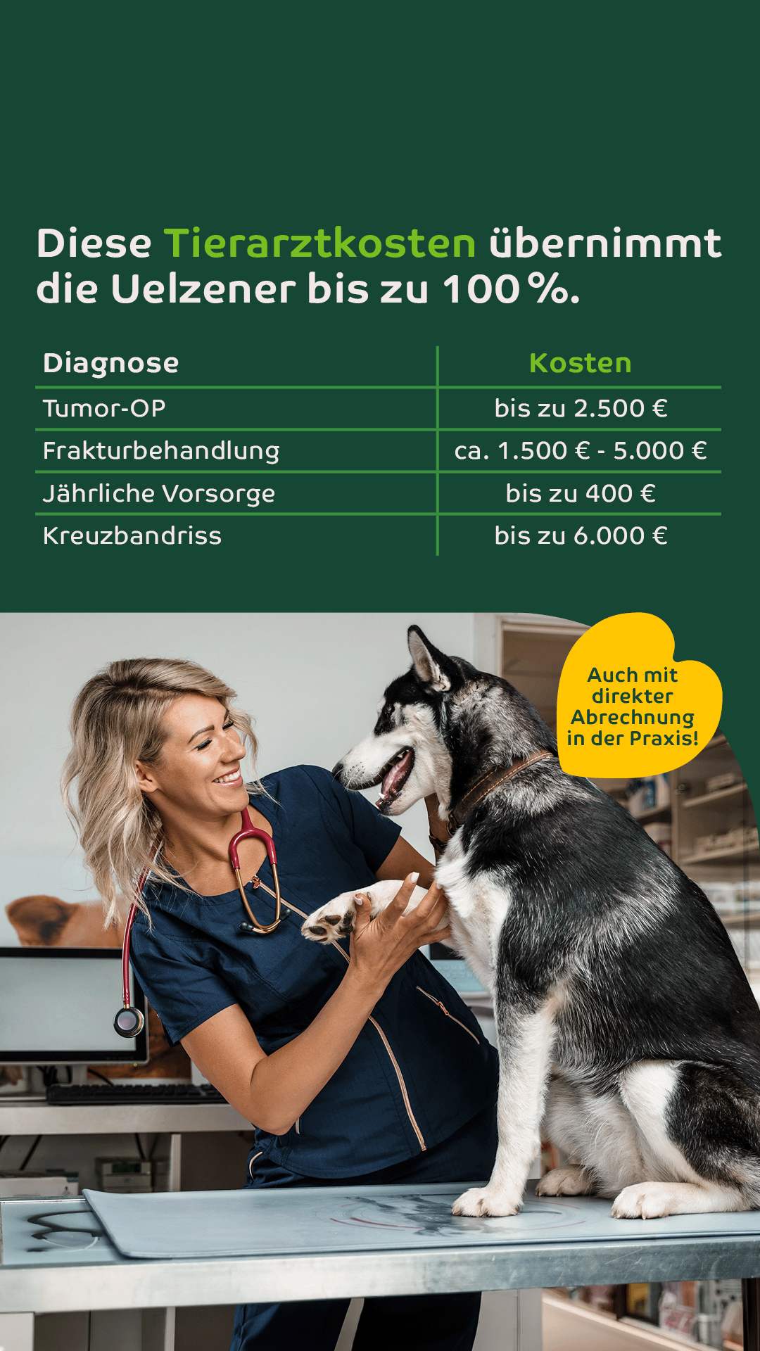 Uelzener Versicherungen Facebook ad: Uelzener Hunde-Versicherungen