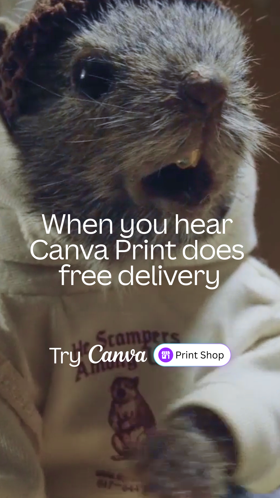 Canva Facebook ad