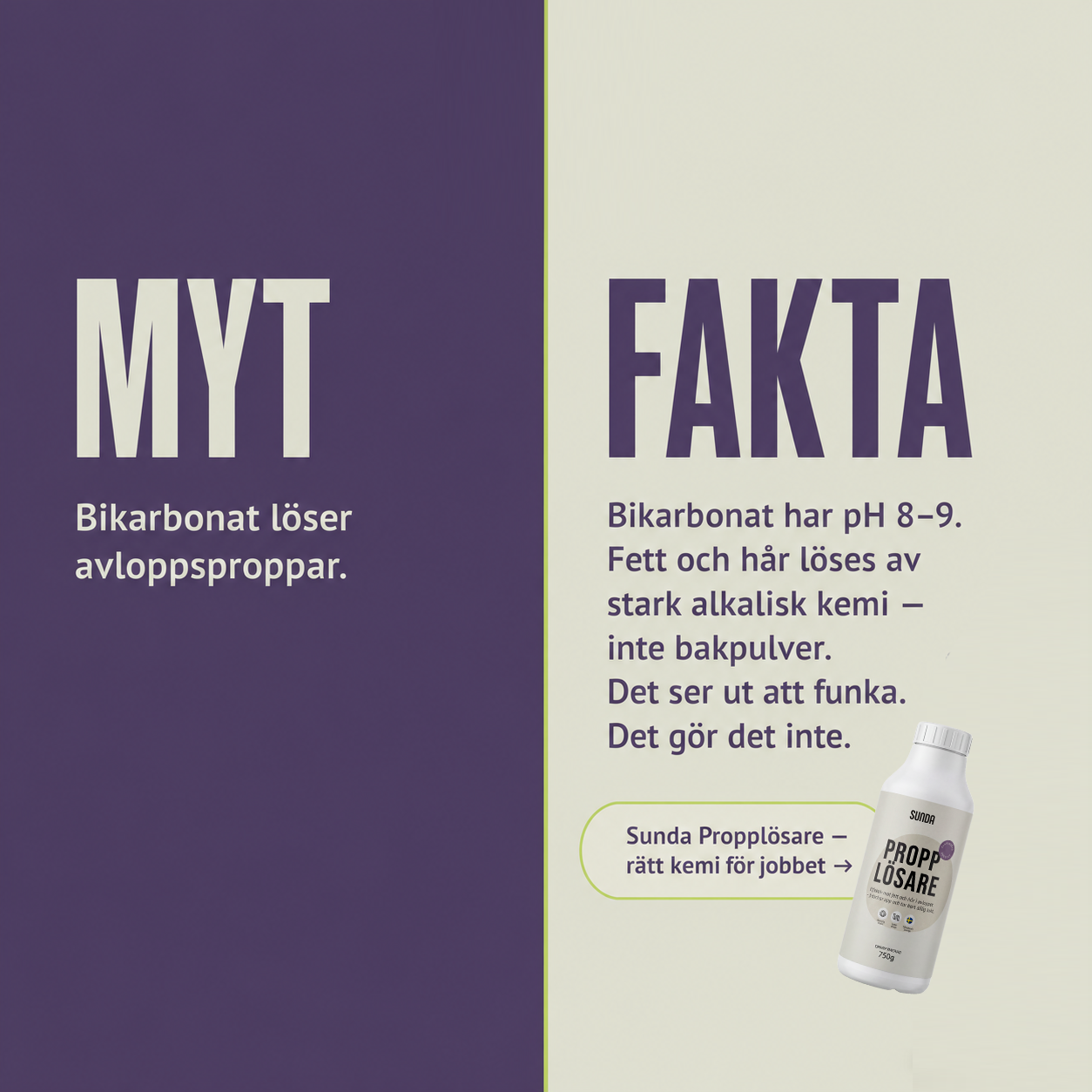 Sunda Facebook ad