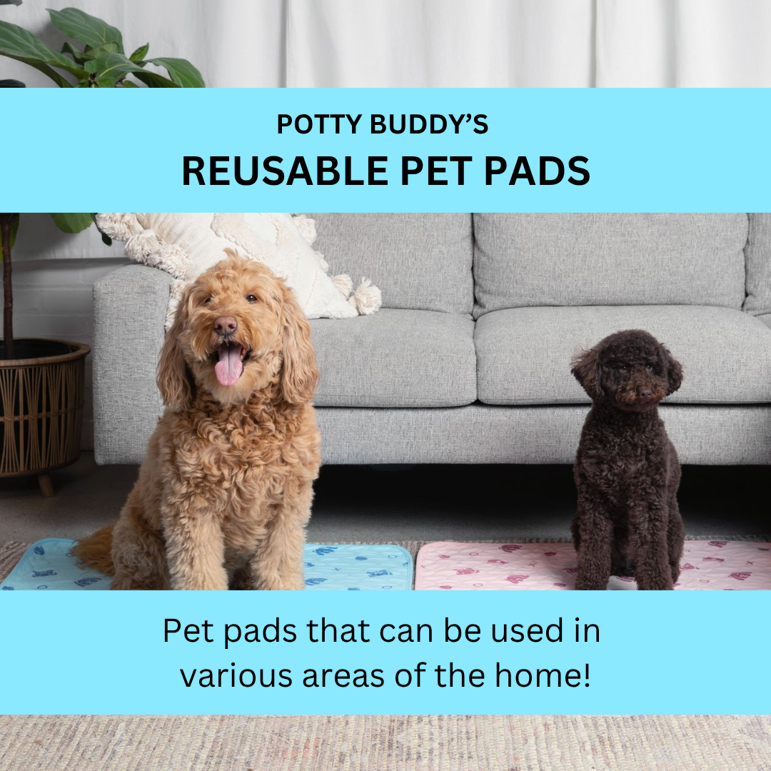 Potty Buddy Facebook ad