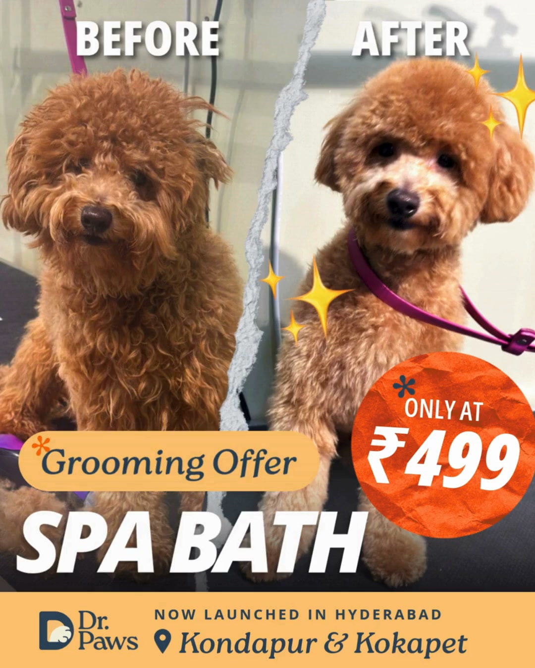 Dr Paws Facebook ad: Complete Pet Grooming at ₹499