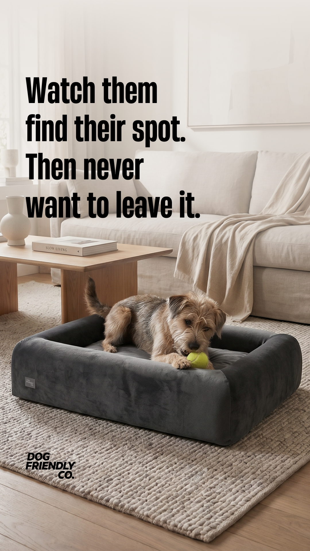 Dog Friendly Co. Facebook ad
