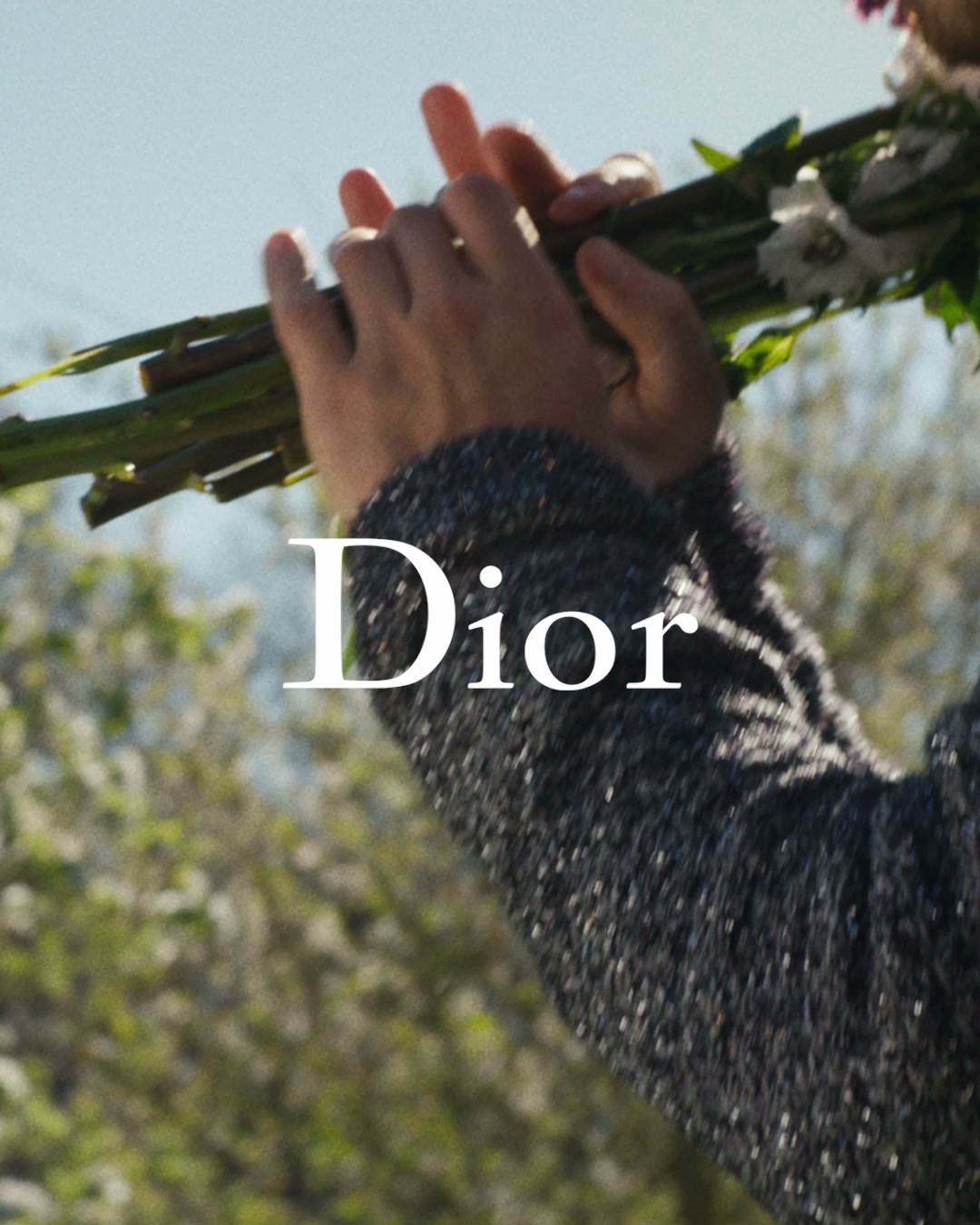 Dior Facebook ad from Aug 4, 2026