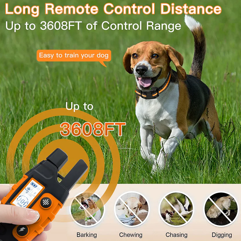 Dog Genic Facebook ad: Take Control of Training Today!