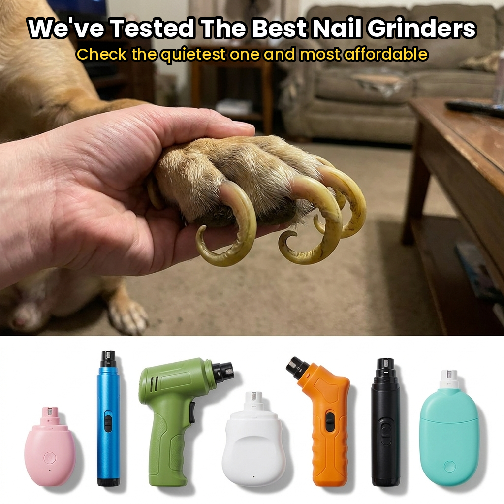 Bellasaysbest Facebook ad
