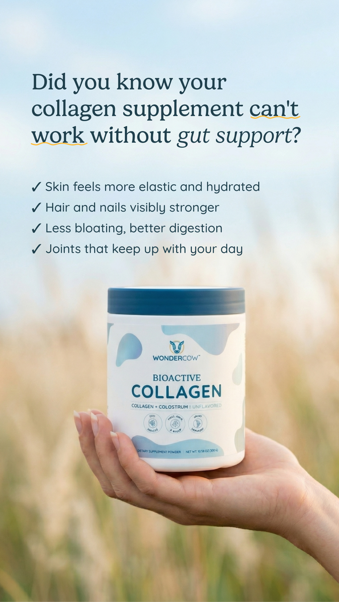 Wondercowusa Facebook ad