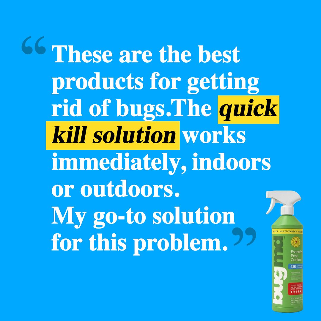 Bug MD Essential Pest Control Facebook ad