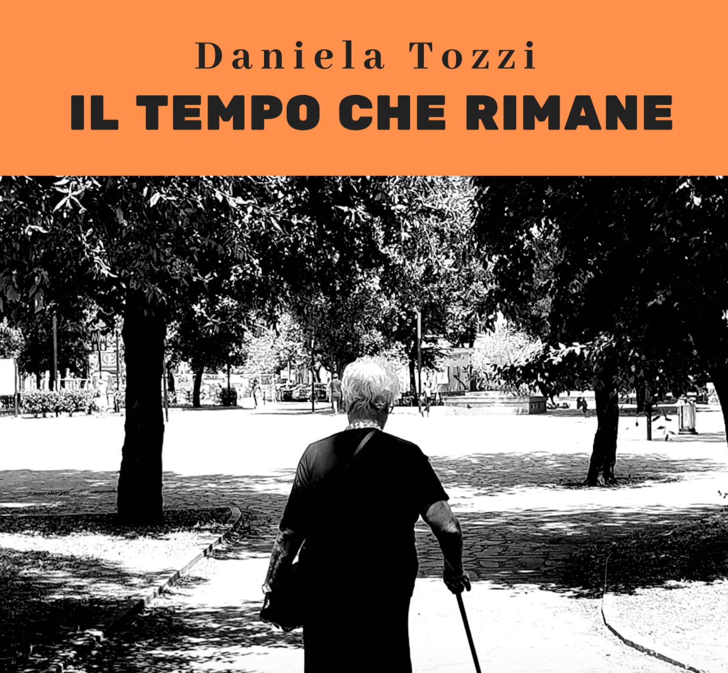 Il tempo che rimane - un libro di Daniela Tozzi Facebook ad: Vincitore del concorso letterario Un libro per l'inverno…
