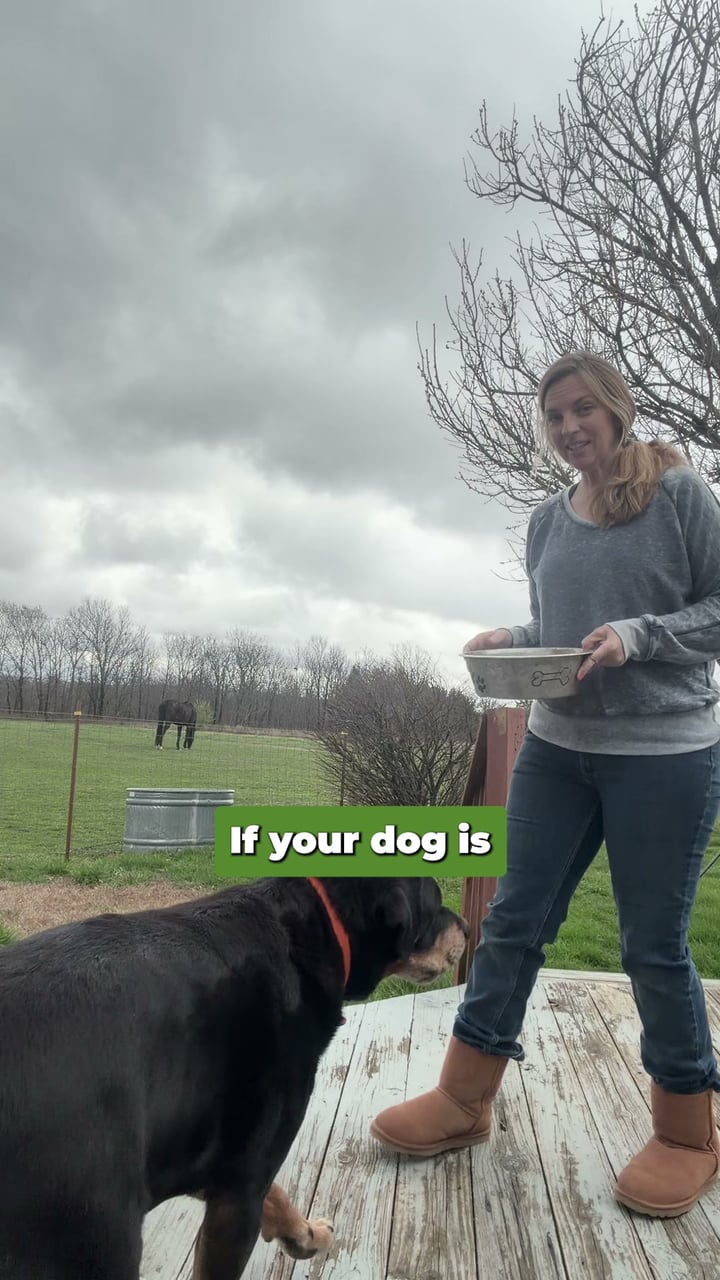 Only Natural Pet Facebook ad: Real Food. Now 50% Off.