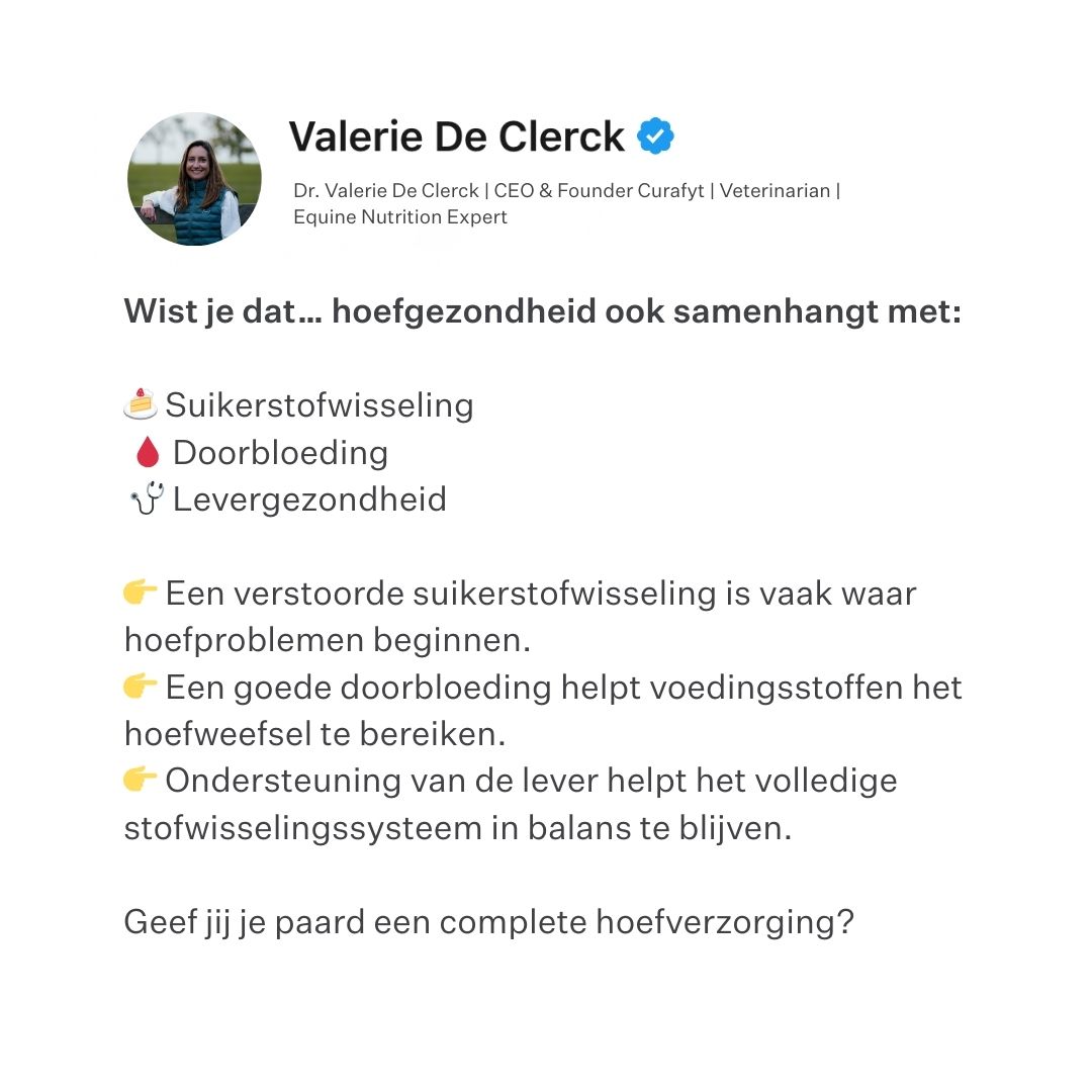 Leading Equestrians of Europe Facebook ad: Voor paarden met gevoelige hoeven en/of overgewicht