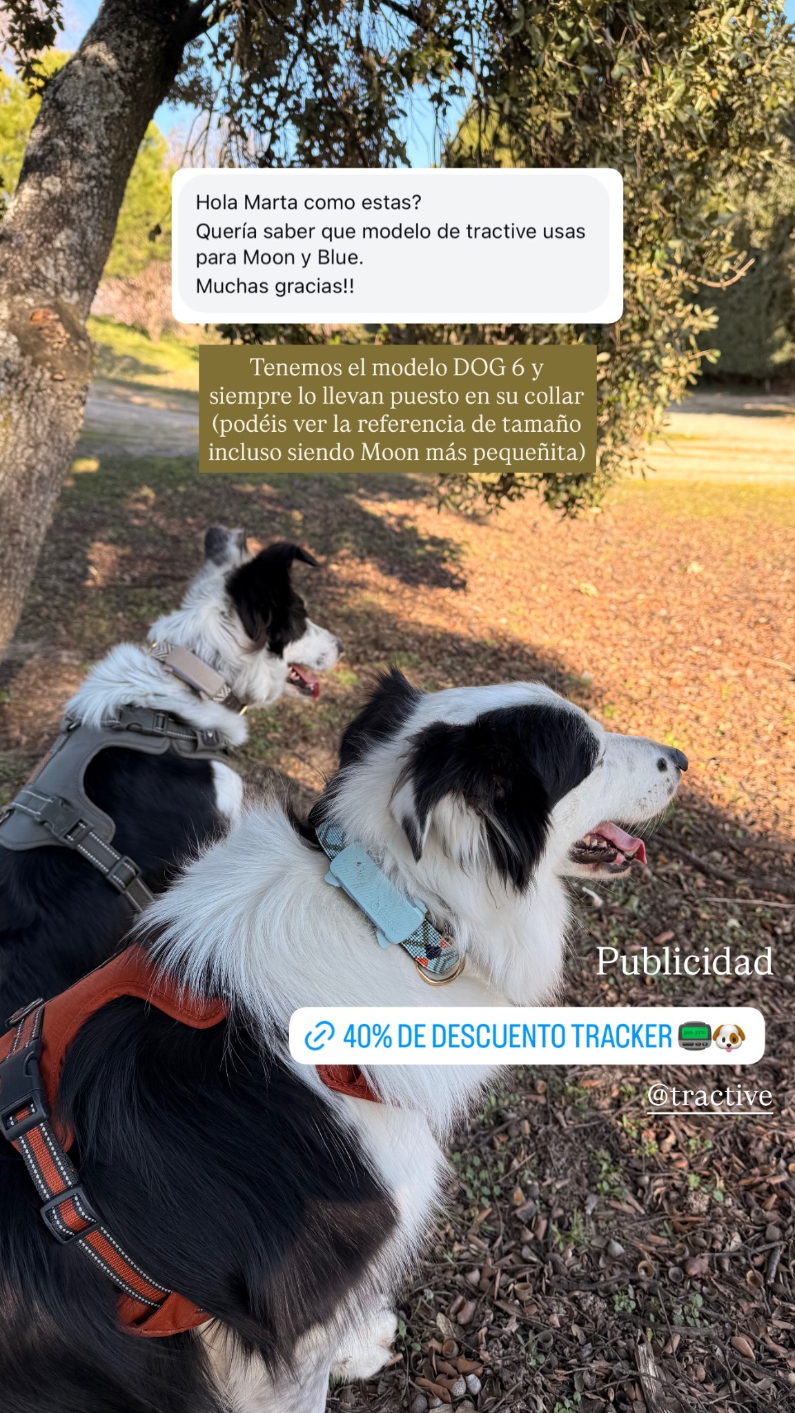 Tractive Facebook ad
