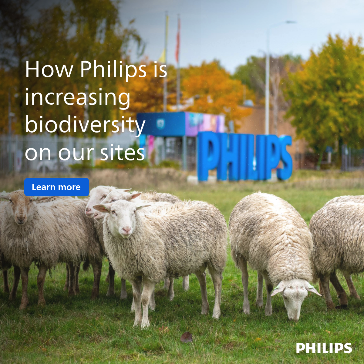 Philips Facebook ad