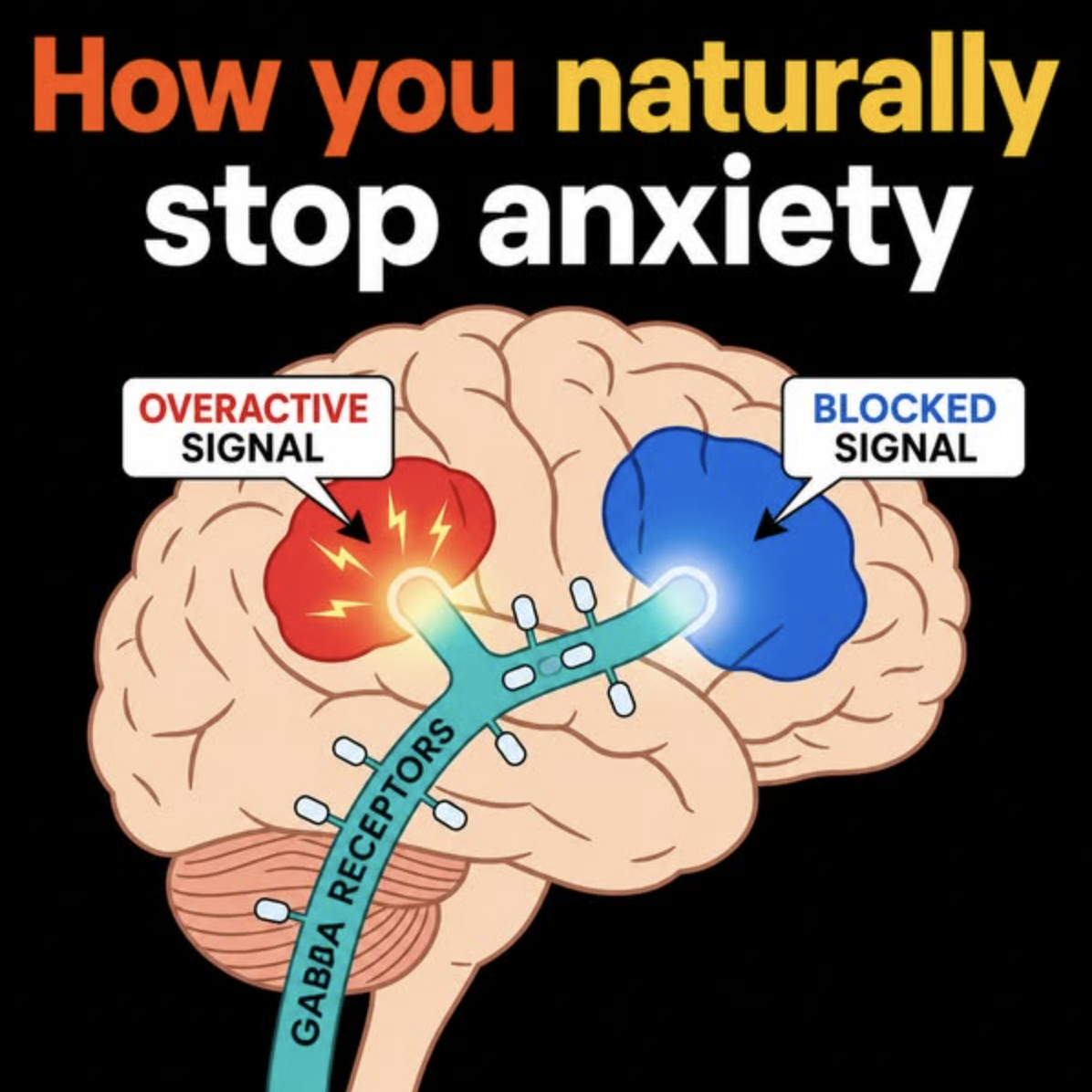 Evelyn Brown Facebook ad: Why Nothing I Tried for Anxiety Actually Worked