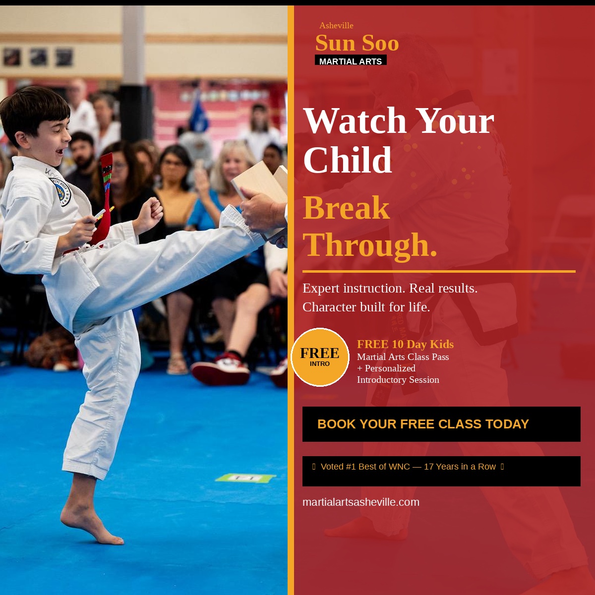 Asheville Sun Soo Martial Arts Facebook ad: Want a FREE 10 Day Kids Martial Arts Class Pass With A…