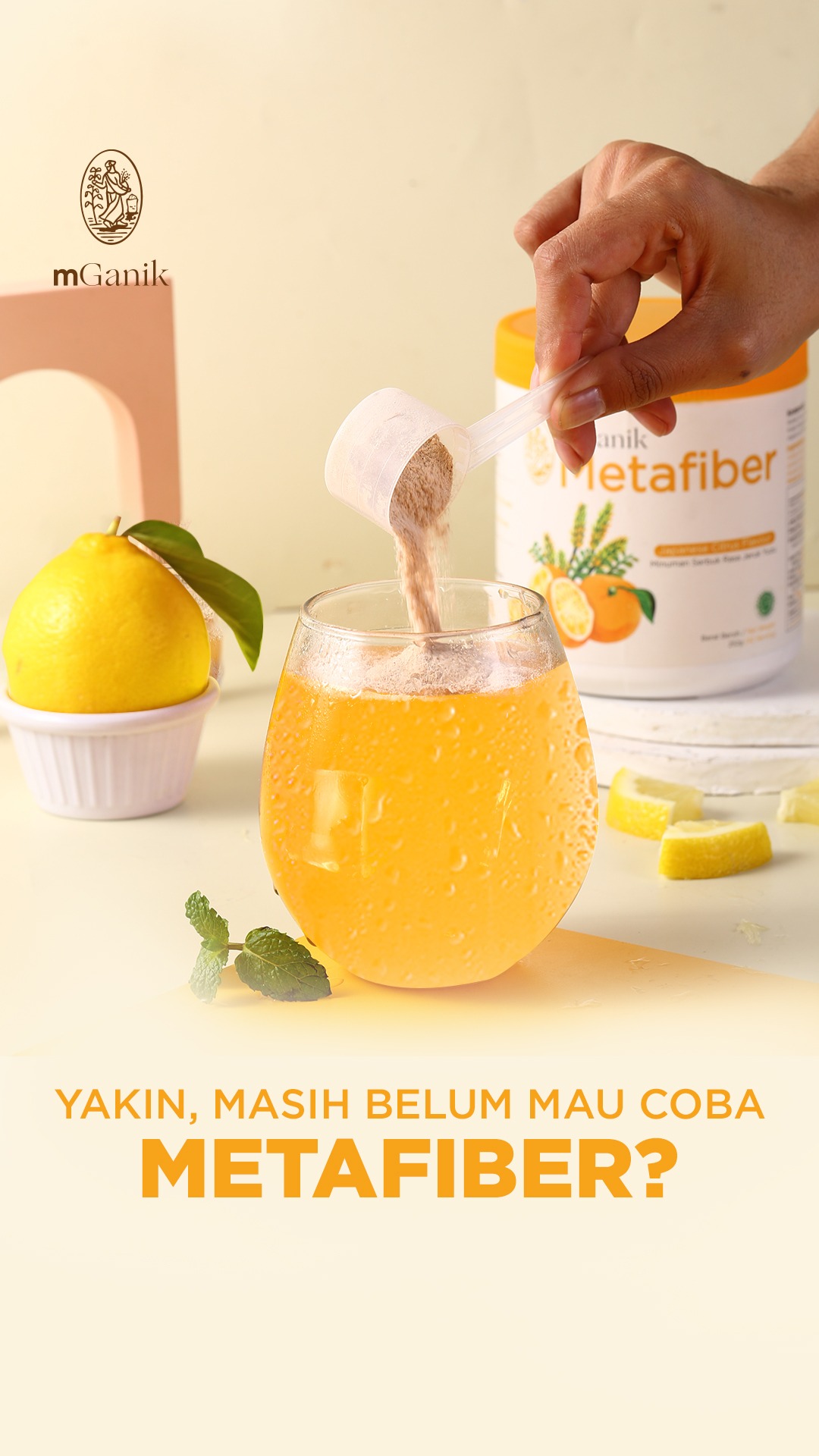 mGanik Metafiber Coba Sekarang Facebook ad