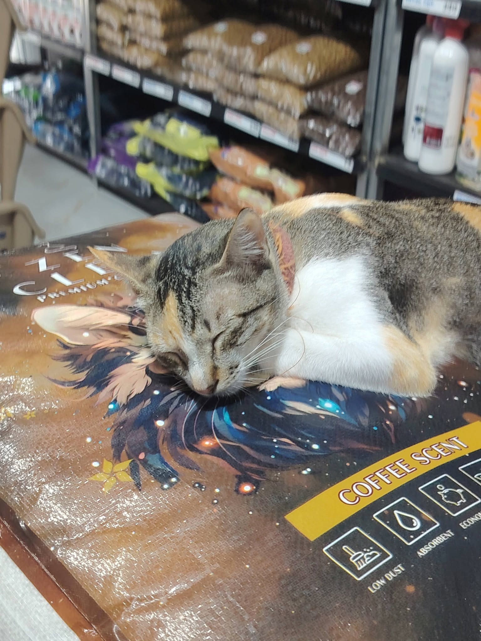 Zen Clean Cat Litter Facebook ad