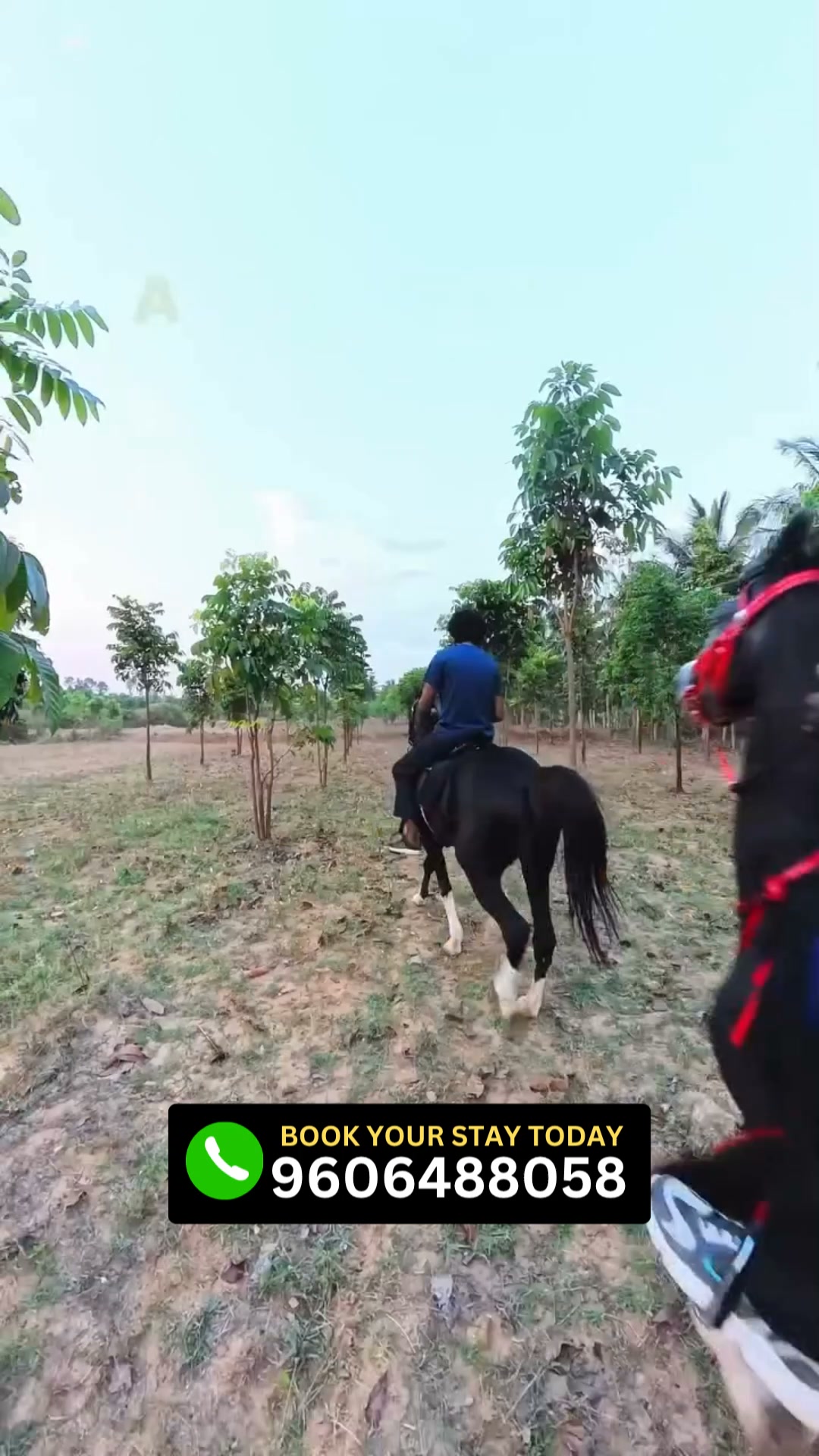 Benchkal Resort Facebook ad: Horse Riding at Benchkal Resort