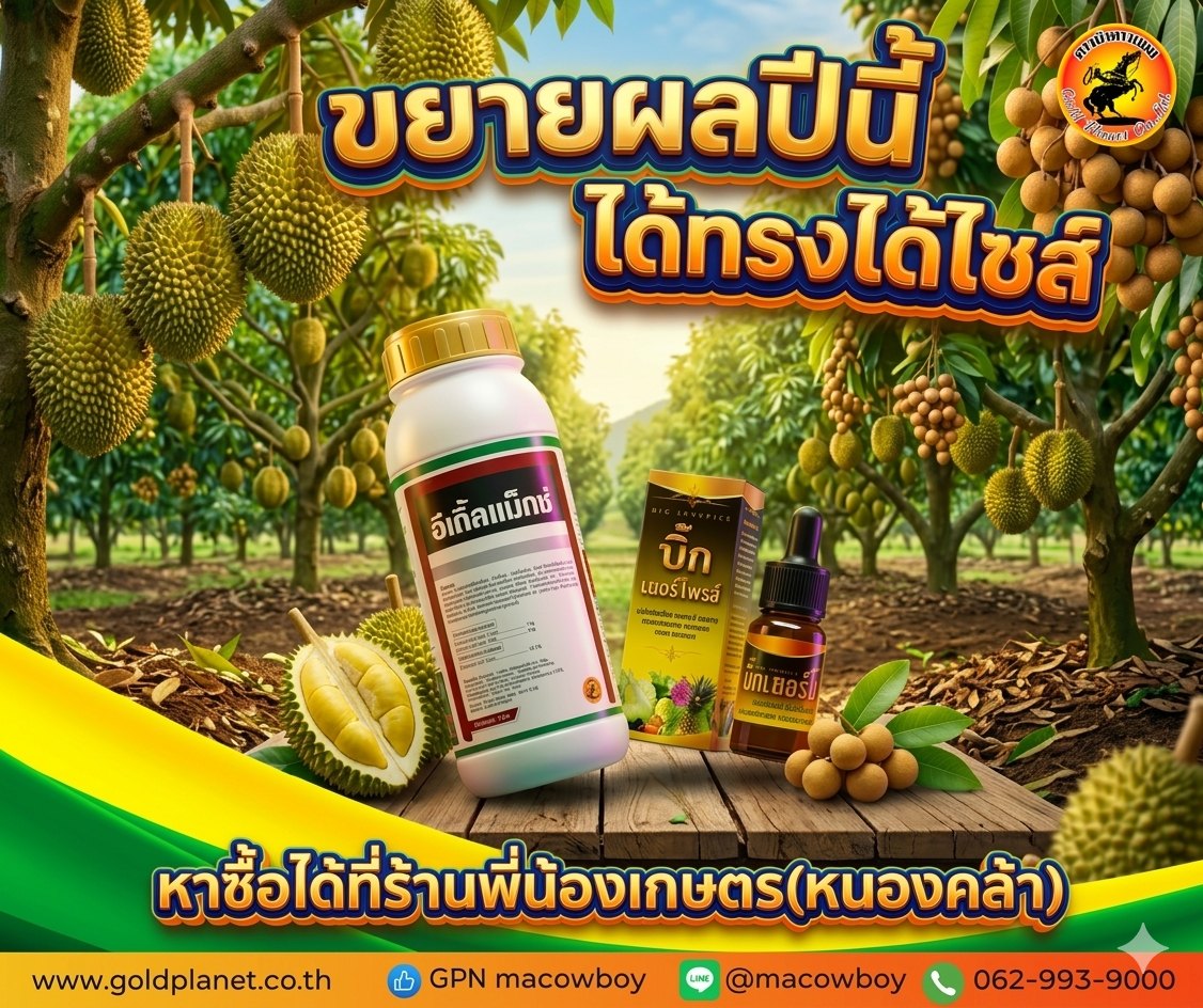 Gold Planet - ตราม้าคาวบอย Facebook ad