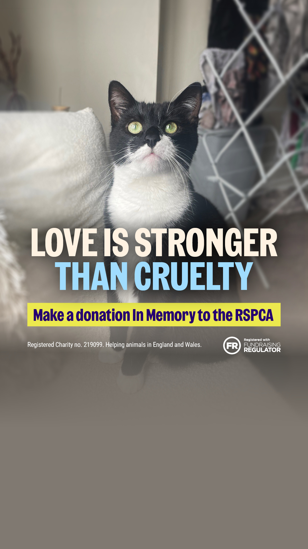 RSPCA (England & Wales) Facebook ad from Jul 1, 2026