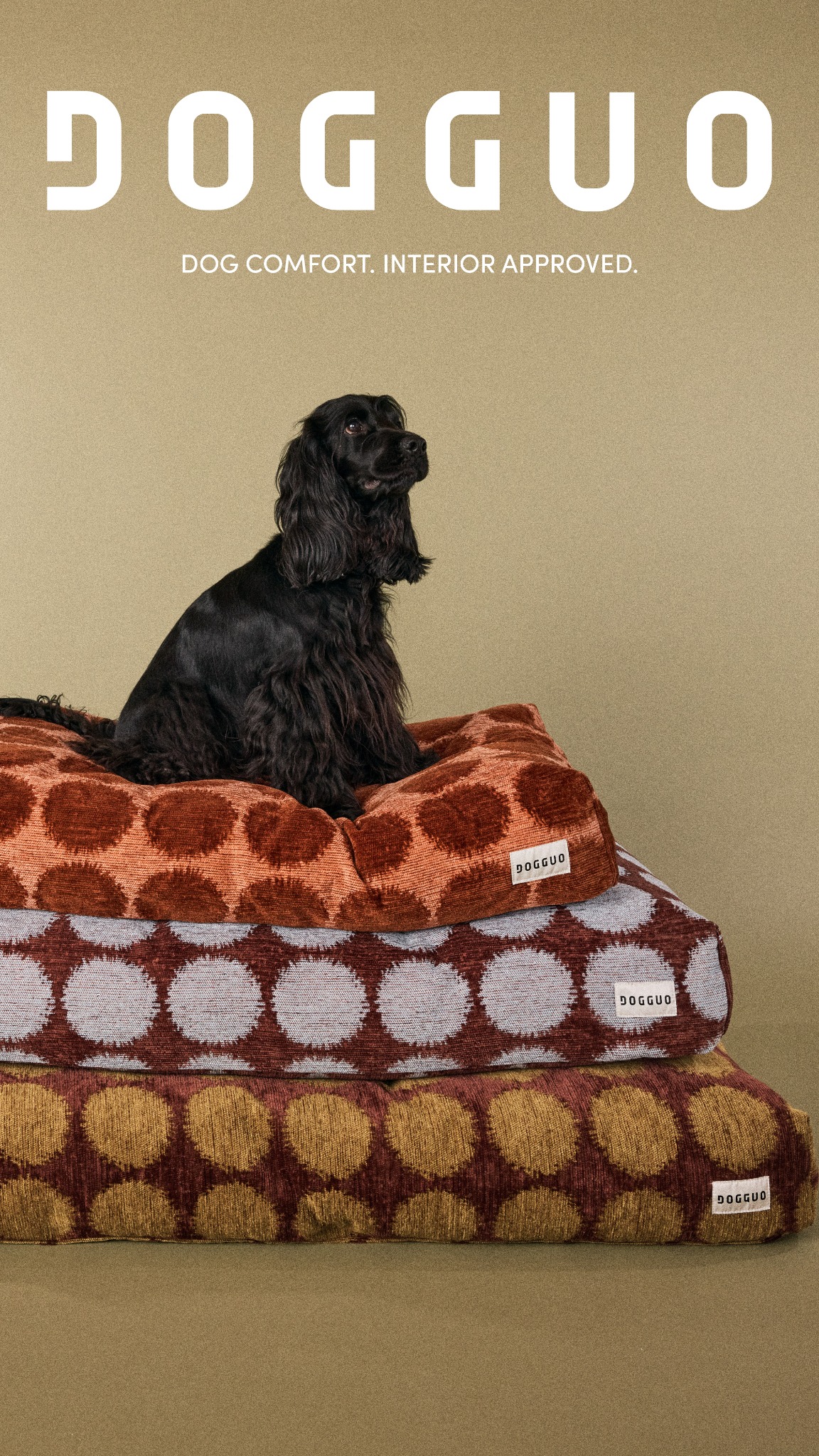 Dogguo Facebook ad: A collection where colour, comfort and character come…