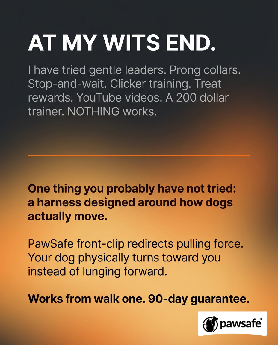 PawSafe Facebook ad