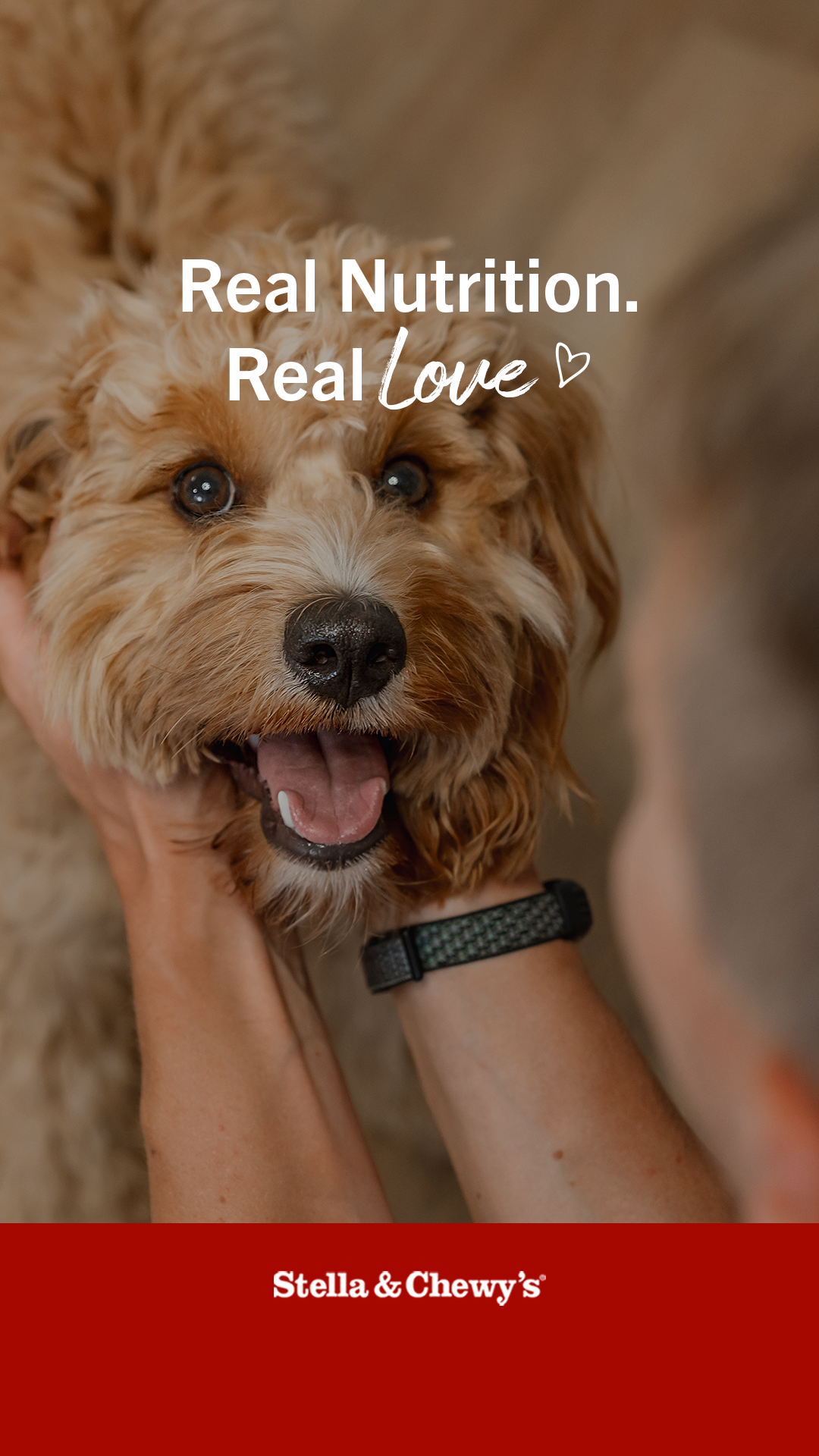 Stella & Chewy's Facebook ad