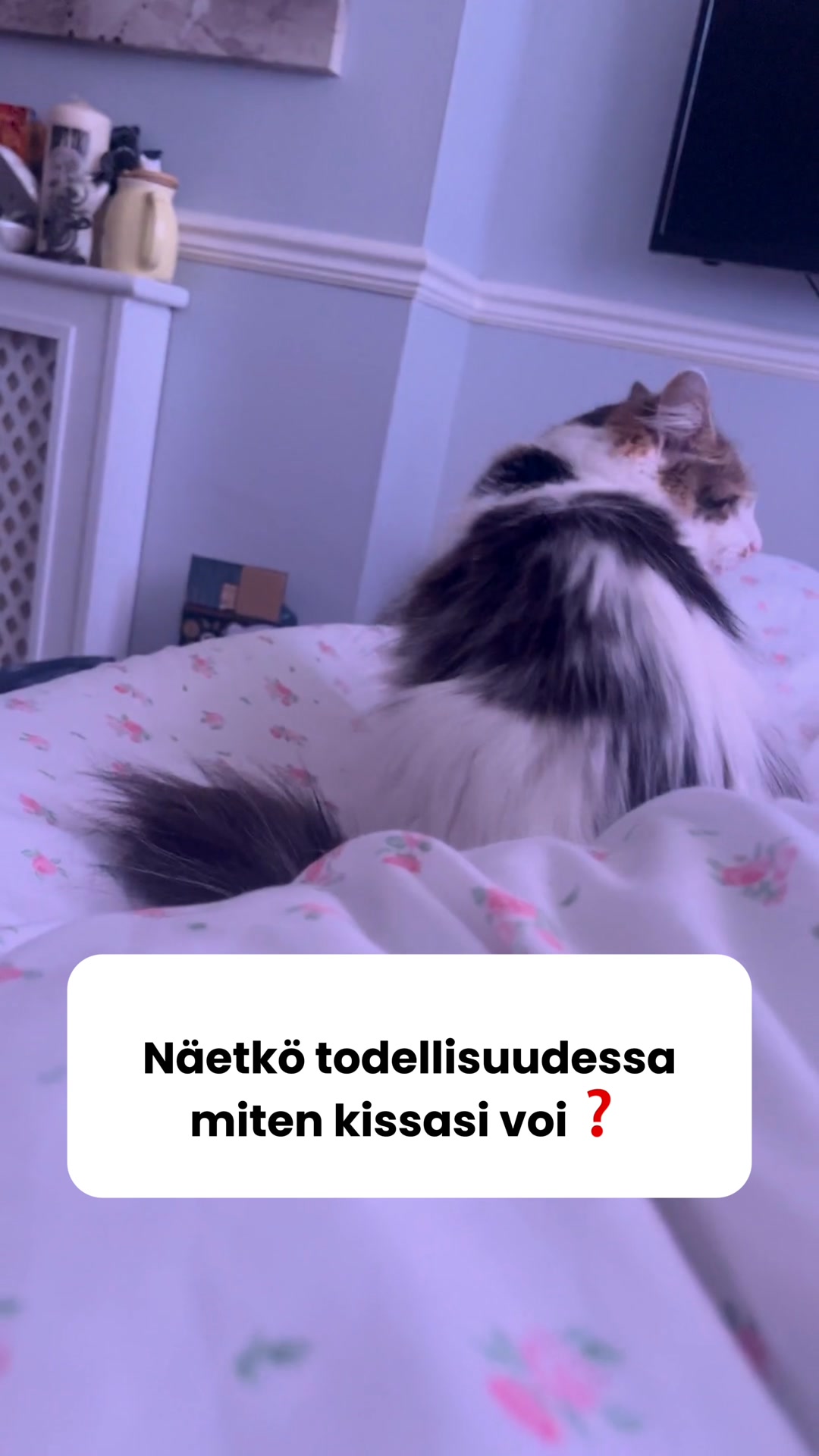 Girasol Facebook ad: Saat 50% alennuksen + ilmaisen lahjan! Vain rajoitetun ajan!
